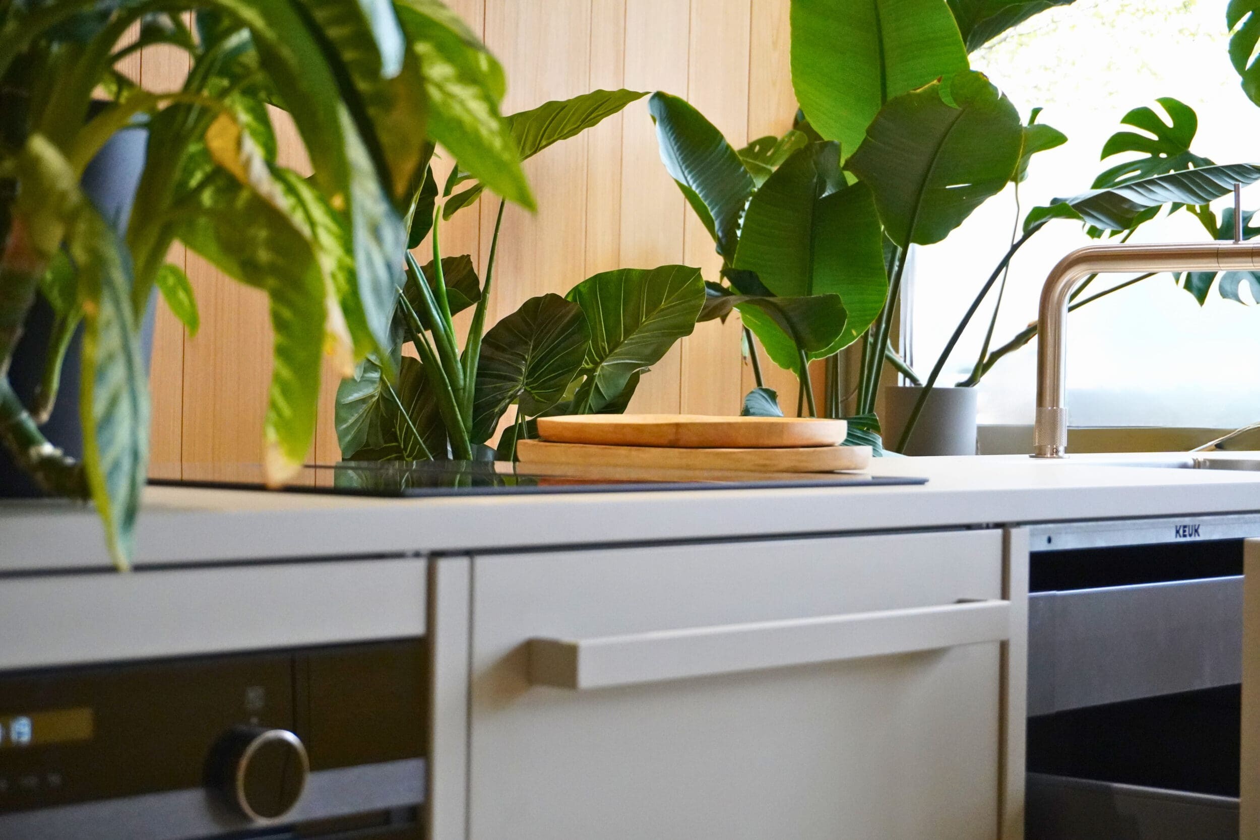 Grijze keuken in moderne en Scandinavische stijl