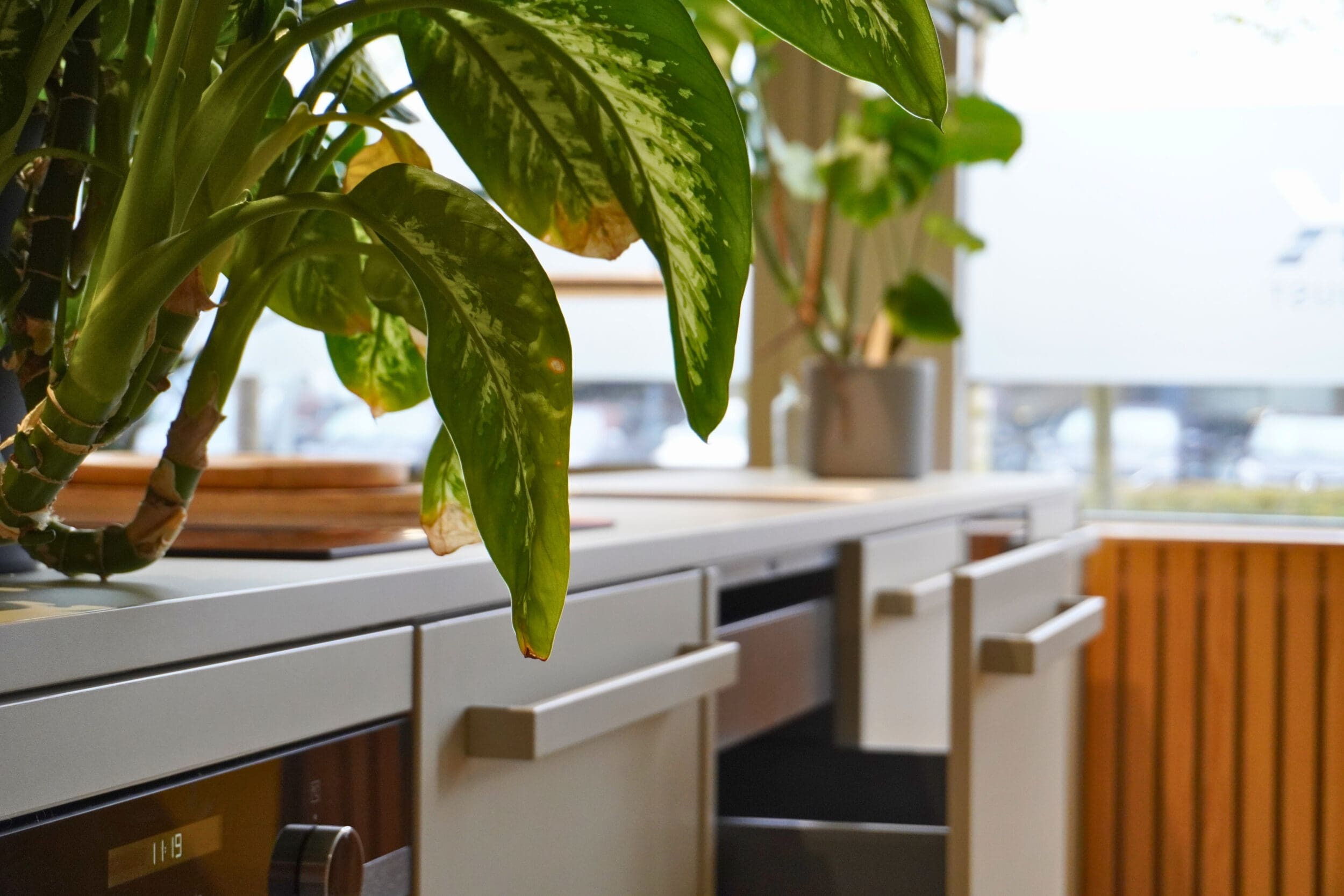 Grijze keuken in moderne en Scandinavische stijl